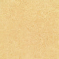 Sustainable Linoleum Tile C311587