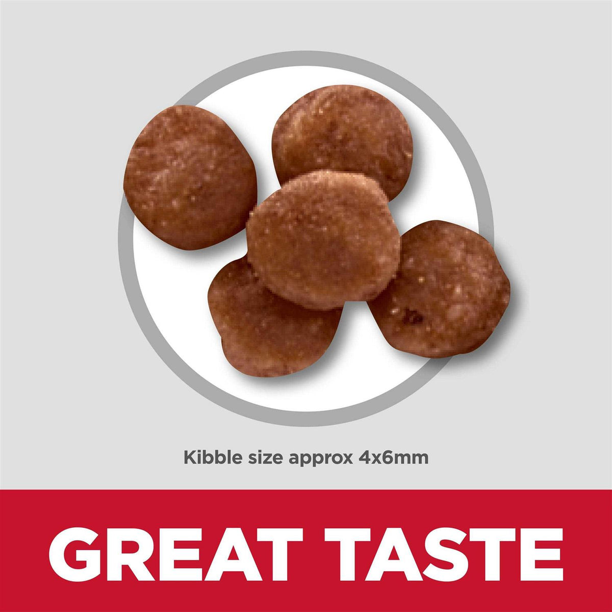Indoor Kitten Dry Cat Food I3418