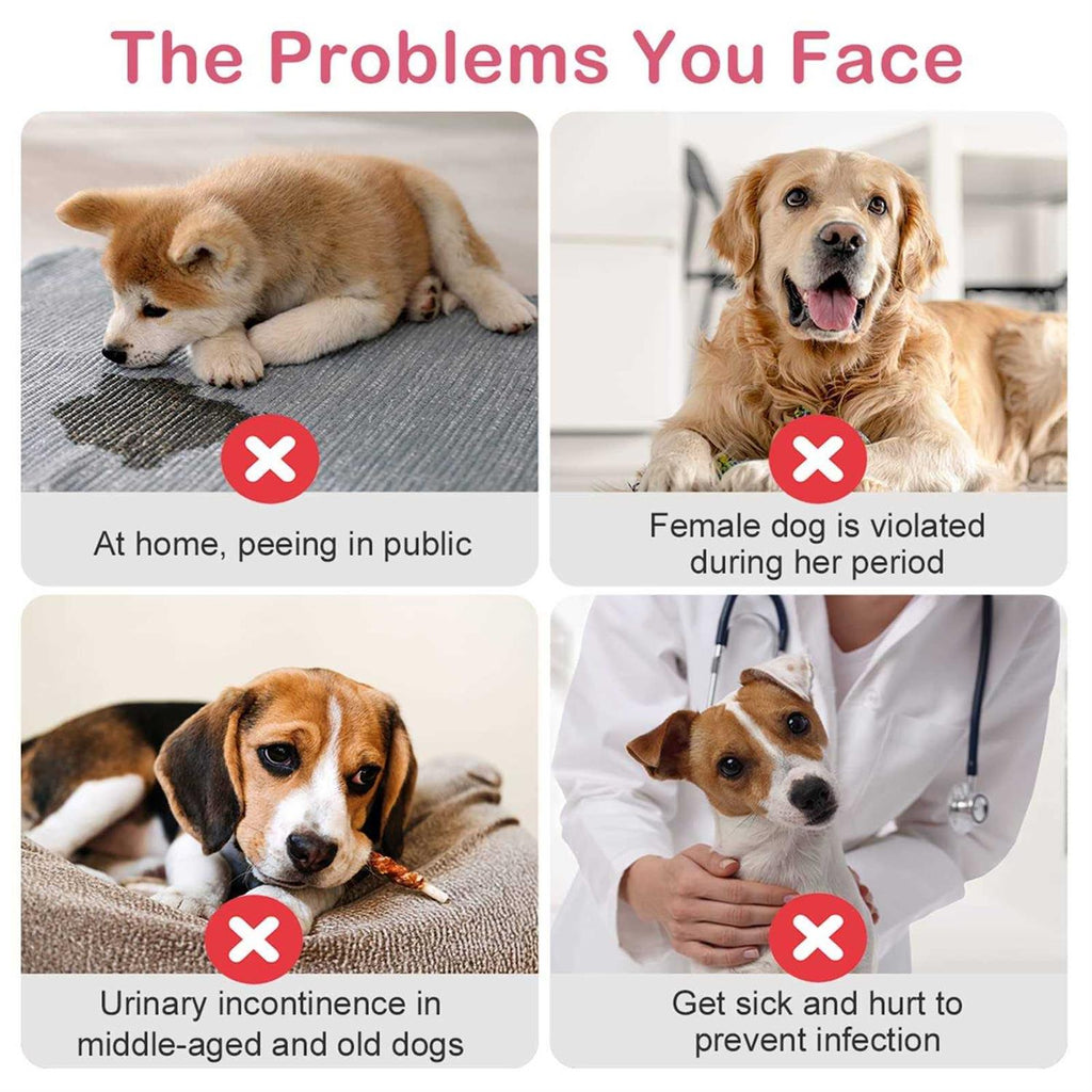 Disposable Female Dog Diapers with Adjustable Elastic Waistline D3332