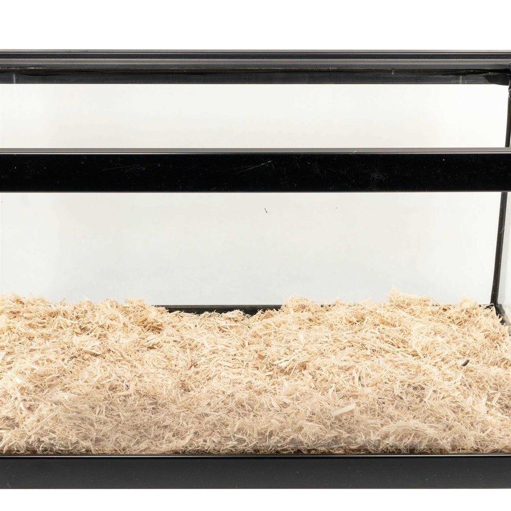 Aspen Snake Bedding K236432