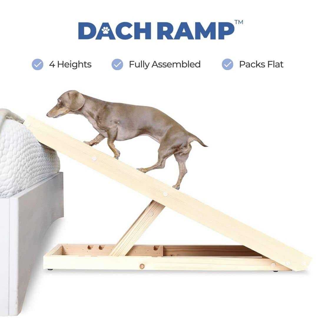 Dachshund Ramp H766